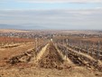 MaxiMarc winery