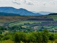 La cantina dei vini Crastelec - vigneto Şimleul Silvaniei