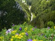 Bicaz Gorge in the Eastern Carpathians