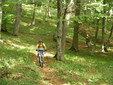 Cicloturismo sulle Le colline della Transilvania