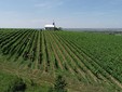 Nachbil Wine Cellar, Transylvania