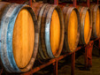 Daiconi Wine Cellar from Minis Vineyard