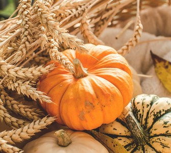 Pumpkin, the Star of Autumn Cuisine: From Pies and Tarts to Roasted Pumpkin and Savory Dishes