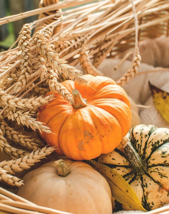Pumpkin, the Star of Autumn Cuisine: From Pies and Tarts to Roasted Pumpkin and Savory Dishes Pumpkin, the Star of Autumn Cuisine: From Pies and Tarts to Roasted Pumpkin and Savory Dishes