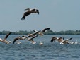 Chilia Veche - Danube Delta