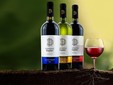 Il dominio viticolo Bogdan