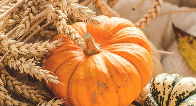 La zucca, regina della cucina d’autunno: dalla torta alla crostata, fino alla zucca al forno