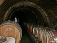 La strada del vino nella zona di Satu-Mare, Transilvania