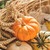 Pumpkin, the Star of Autumn Cuisine: From Pies and Tarts to Roasted Pumpkin and Savory Dishes