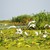 Danube Delta