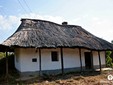 La strada del vino nella zona di Satu-Mare, Transilvania