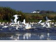 Chilia Veche - Danube Delta