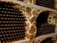 Elite Wine Cellar, Minis - Măderat vineyard