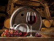Elite Wine Cellar, Minis - Măderat vineyard