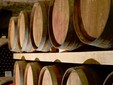 Elite Wine Cellar, Minis - Măderat vineyard