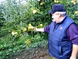 Fresh apple juice from Iteşti