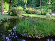 Cotroceni Palace, the garden - Bucharest