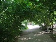 The most beautiful and shady terraces in Bucharest