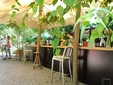 The most beautiful and shady terraces in Bucharest