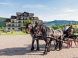 Toaca Bellevue Hotel - Bucovina