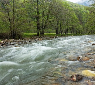 The Strei Valley, in Hunedoara County
