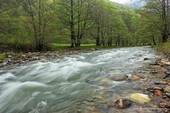 La Valle dello Strei, nella contea di Hunedoara