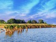 L’isola Ovidio - sul lago Siutghiol