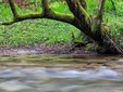 Valea Streiului, județul Hunedoara