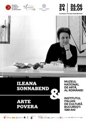 ILEANA SONNABEND  &amp;  ARTE POVERA, MNAR