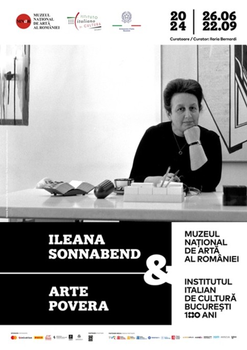 ILEANA SONNABEND  &amp;  ARTE POVERA, MNAR