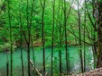 Il Lago Vida, distretto di Bihor