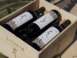 LacertA Winery - Dealu Mare