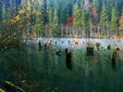 The Red Lake - Harghita County