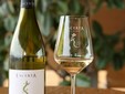 LacertA Winery - Dealu Mare