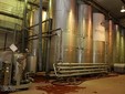 Tohani Winery - Dealu Mare