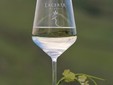 LacertA Winery - Dealu Mare