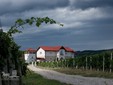 Licorna Winehouse, Romanian wines from Dealul Mare region