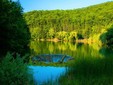 Il Lago Vida, distretto di Bihor