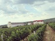 Licorna Winehouse, vini romeni della regione di Dealul Mare