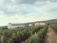 Licorna Winehouse, Romanian wines from Dealul Mare region