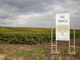 Tohani Winery - Dealu Mare