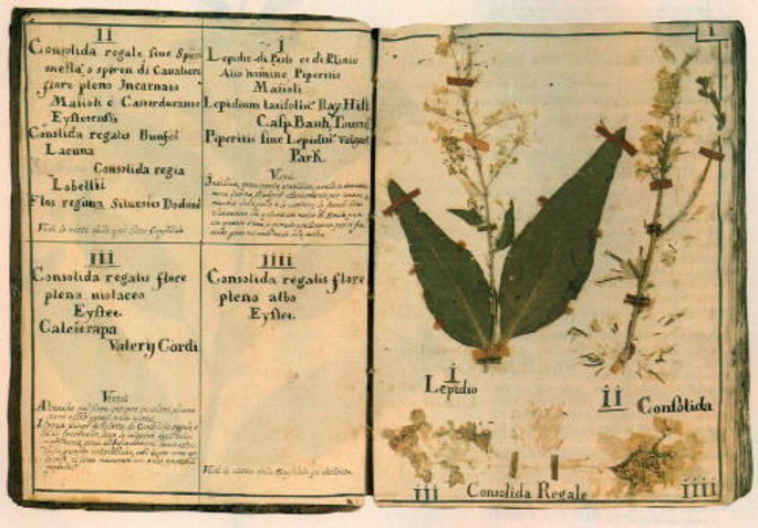 Book of Herbs