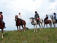 Equestrian tourism in Măcinului Mountains
