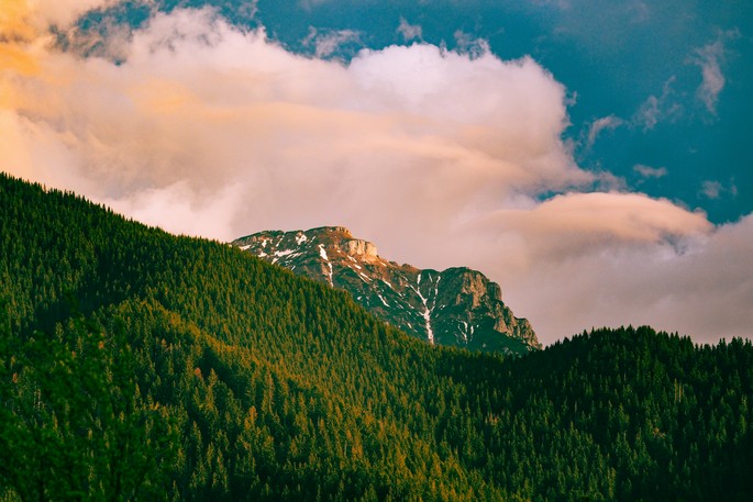 The Bușteni Mountains