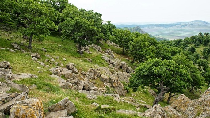 Munții Măcinulu - Dobrogea