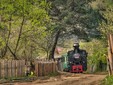 Mocanita - Valle Vaser - Maramures