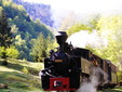 Mocanita - Vaser Valley - Maramures