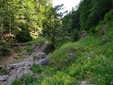 Cicloturismo in Romania - massiccio Ciucaș, nei Monti Carpazi