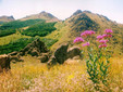 Equestrian tourism in Măcinului Mountains