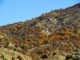 Equestrian tourism in Măcinului Mountains